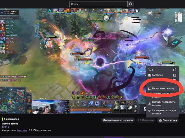 Download video from Twitch