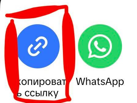 Download video from TikTok