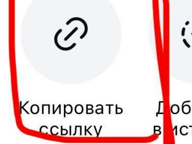 Download the video from Instagram